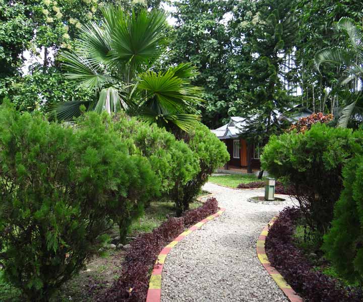 Resort Mayur's garden