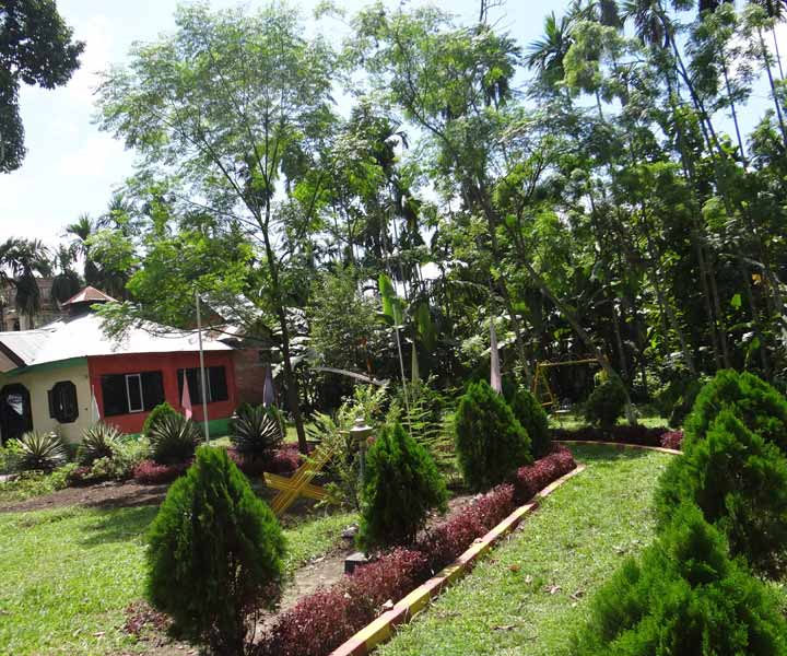 Resort Mayur's garden